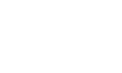 light logo